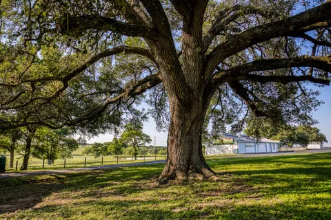 a view of a house with a big yard