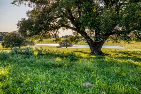 a view of an outdoor space and a yard