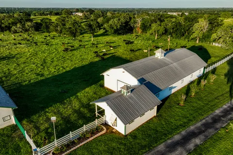 a view of a garden with a building in the background