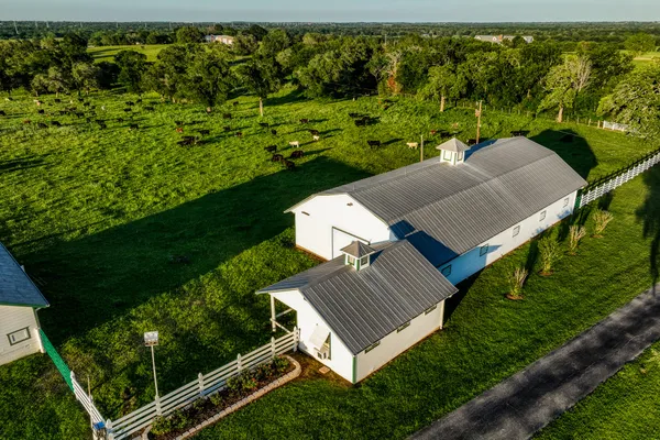 a view of a garden with a building in the background