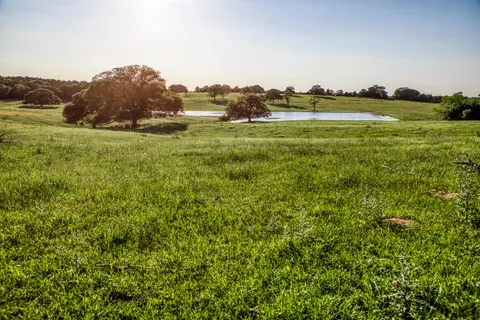 a view of a yard with an outdoor space