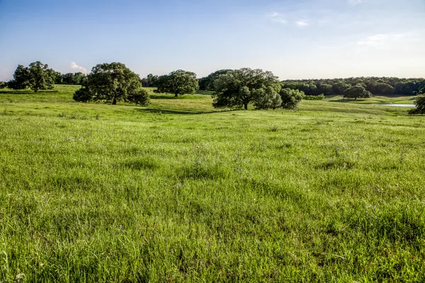 a view of a green field with an outdoor space