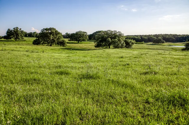 a view of a green field with an outdoor space
