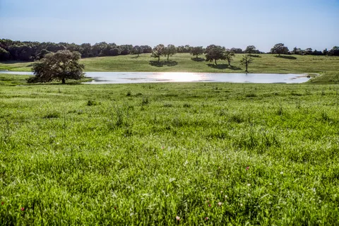 a view of a golf course with a lake