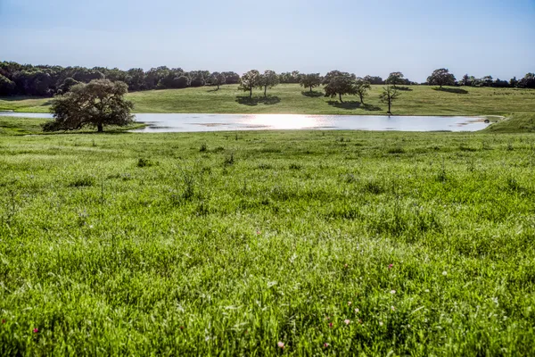 a view of a golf course with a lake