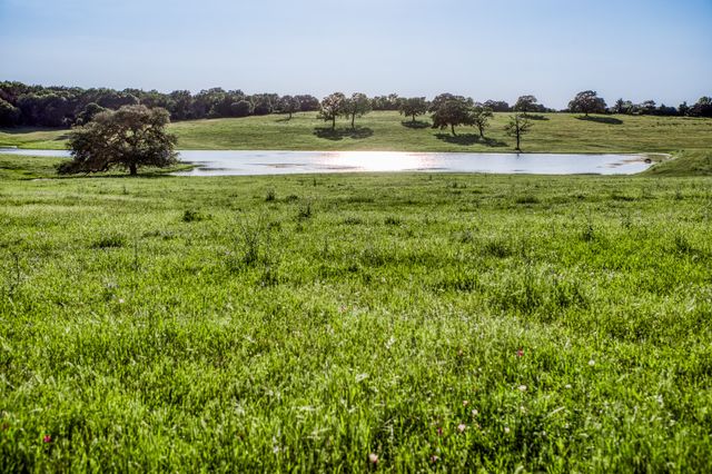 a view of a golf course with a lake