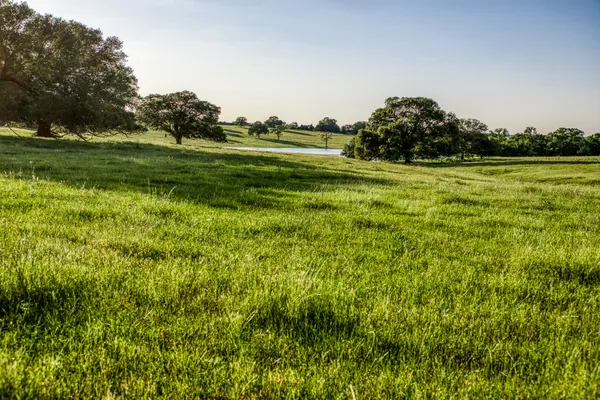 a view of a lake with houses
