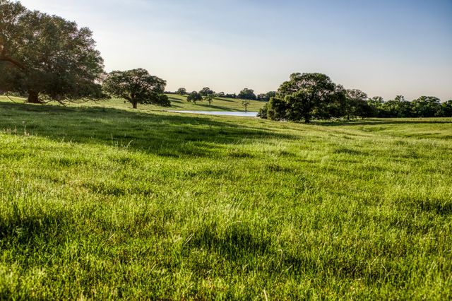 a view of a lake with houses