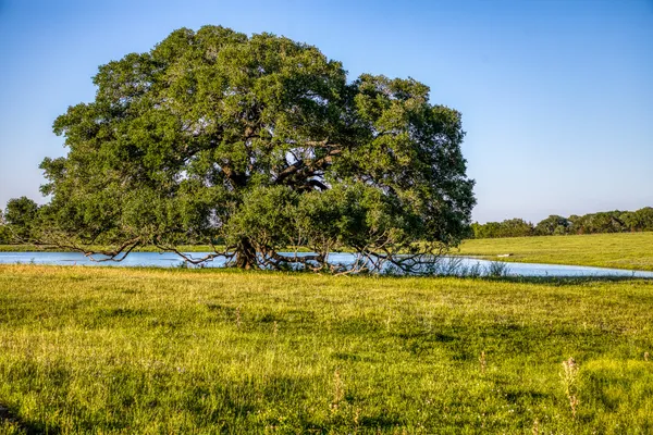a view of a golf course with a lake
