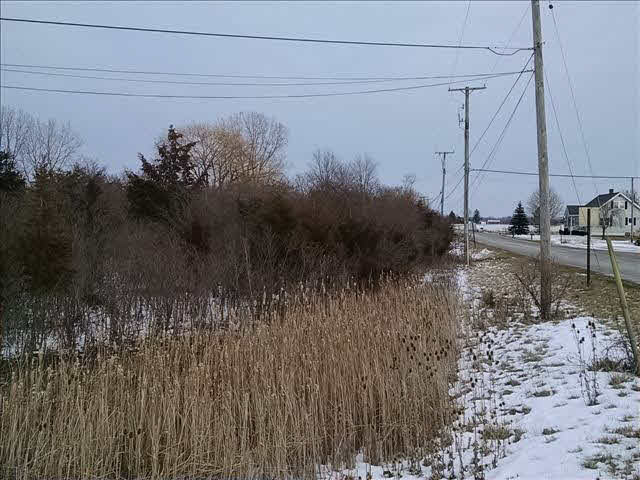0 Ceila Road Carleton, MI 48117 - Photo 7 of 9