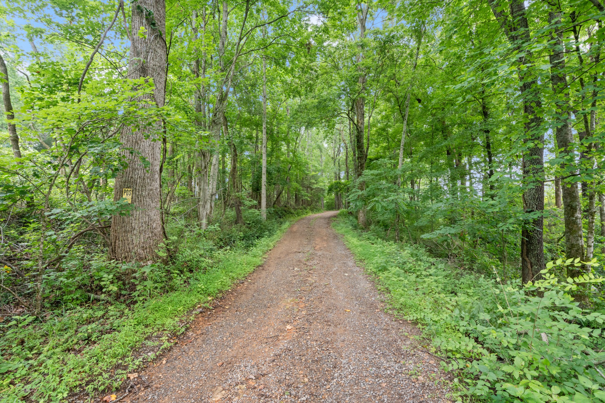 7120 Boone Street Fairview, TN 37062 - Photo 43 of 57