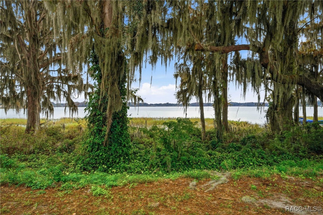 928 Pritchard Island Road Inverness, FL 34450 - Photo 31 of 57