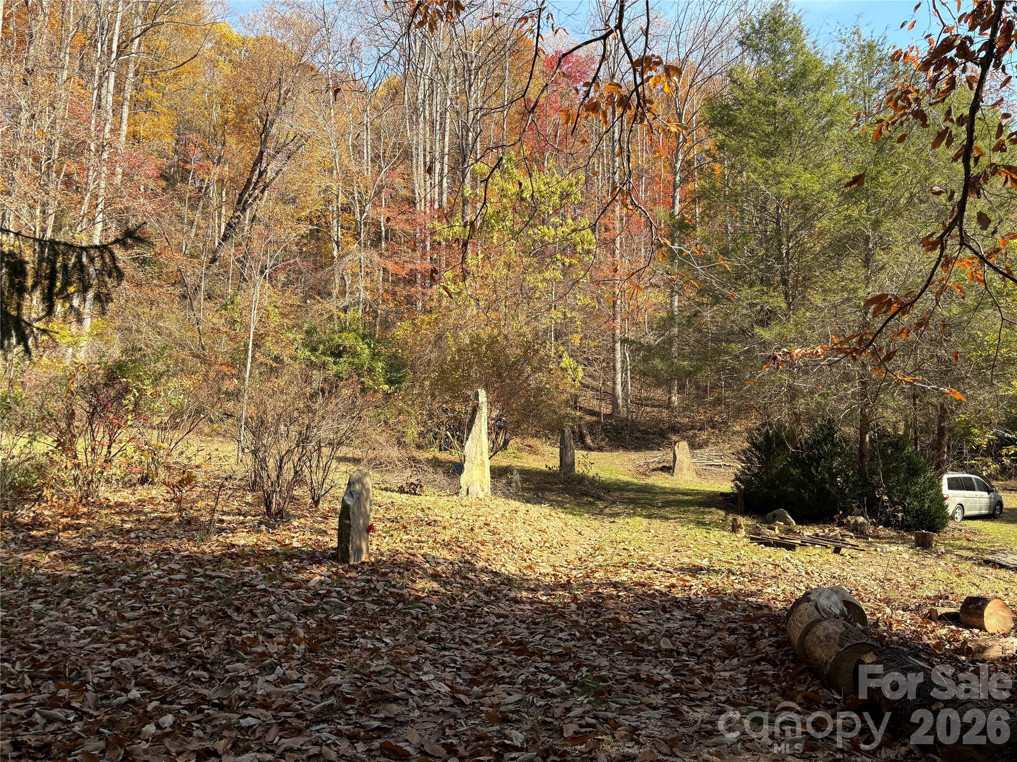 276 Cedar Creek Road Old Fort, NC 28762 - Photo 20 of 23