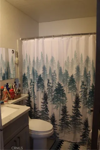 a bathroom with a sink toilet and shower curtain