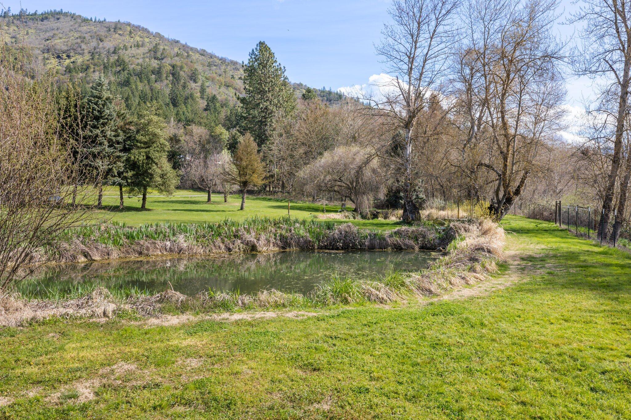 10999 North Applegate Road Grants Pass, OR 97527 - Photo 90 of 96 8-web-or-mls-_D9A2010