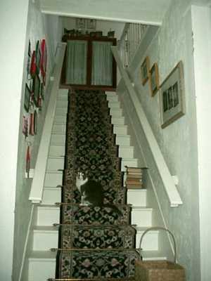 115 Brown Road Freeport, PA 16229 - Photo 7 of 8
