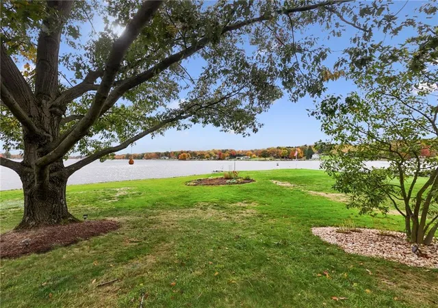 a view of a garden with a tree