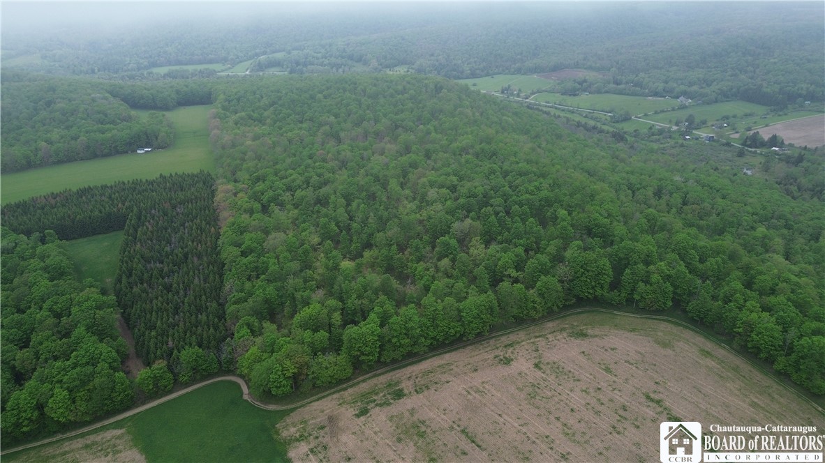 Fulmer Valley Road Wellsville, NY 14895 - Photo 13 of 49