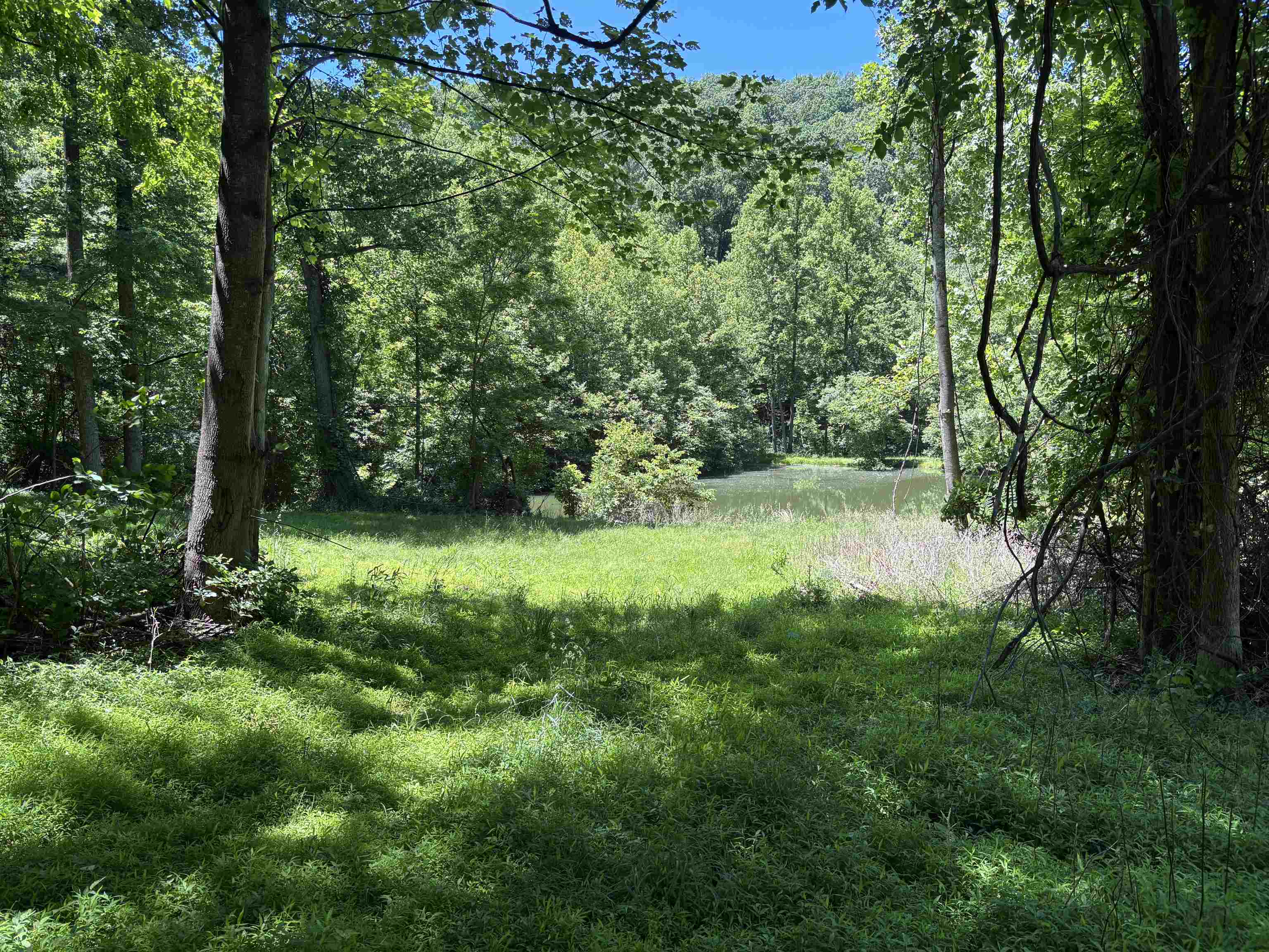 Jordan Hollow Road Stanley, VA 22851 - Photo 10 of 26