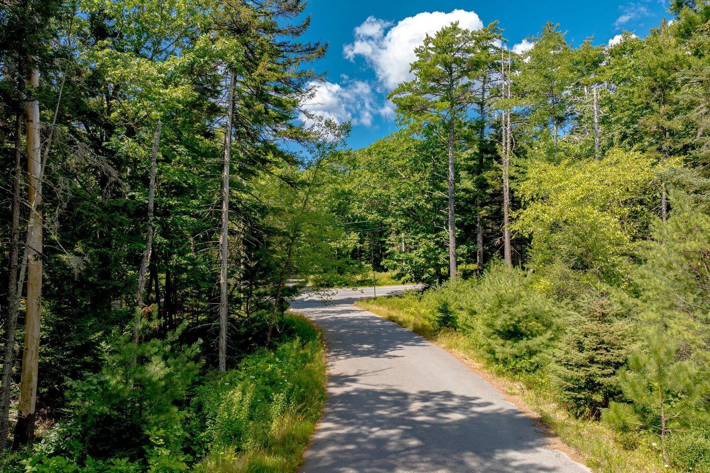 Lot 39-1 Sargent Brook Rd Mount Mount Desert, ME 04660 - Photo 3 of 7 W4-ME2884_3