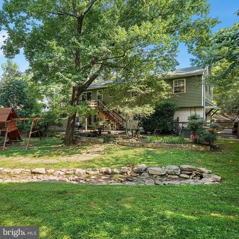 a view of a park with large trees