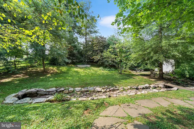 a view of a tree with a yard