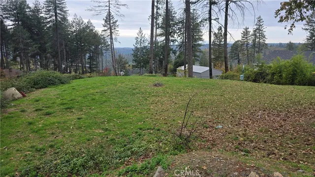 a view of outdoor space and yard