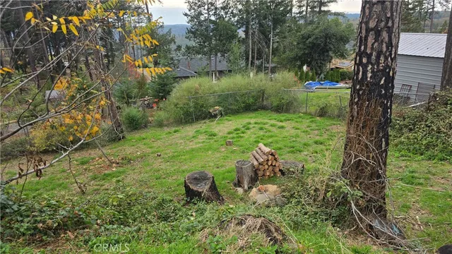 a view of a tree in a yard