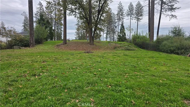 a big yard with lots of green space and trees