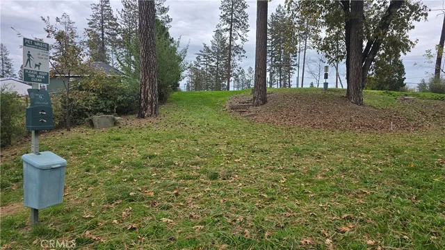 a view of a backyard of the house