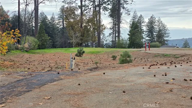 a view of a dirt road with trees in the background