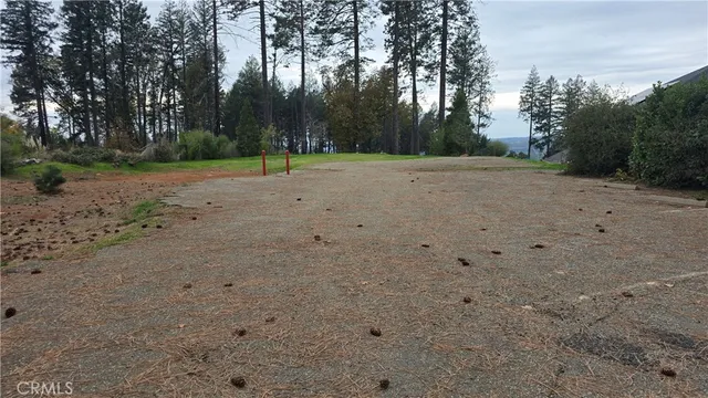 a view of a field with trees