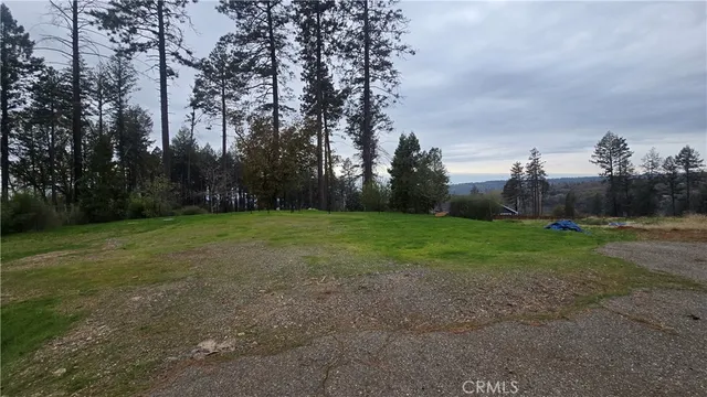 a view of a field of grass and trees