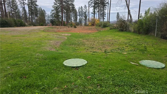 a view of outdoor space with green field and trees