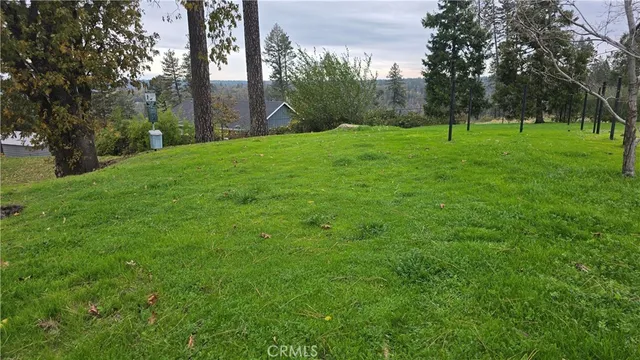 a view of a park with large trees