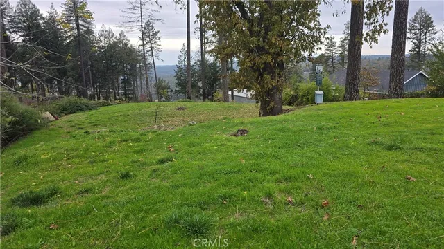 a view of a park with large trees