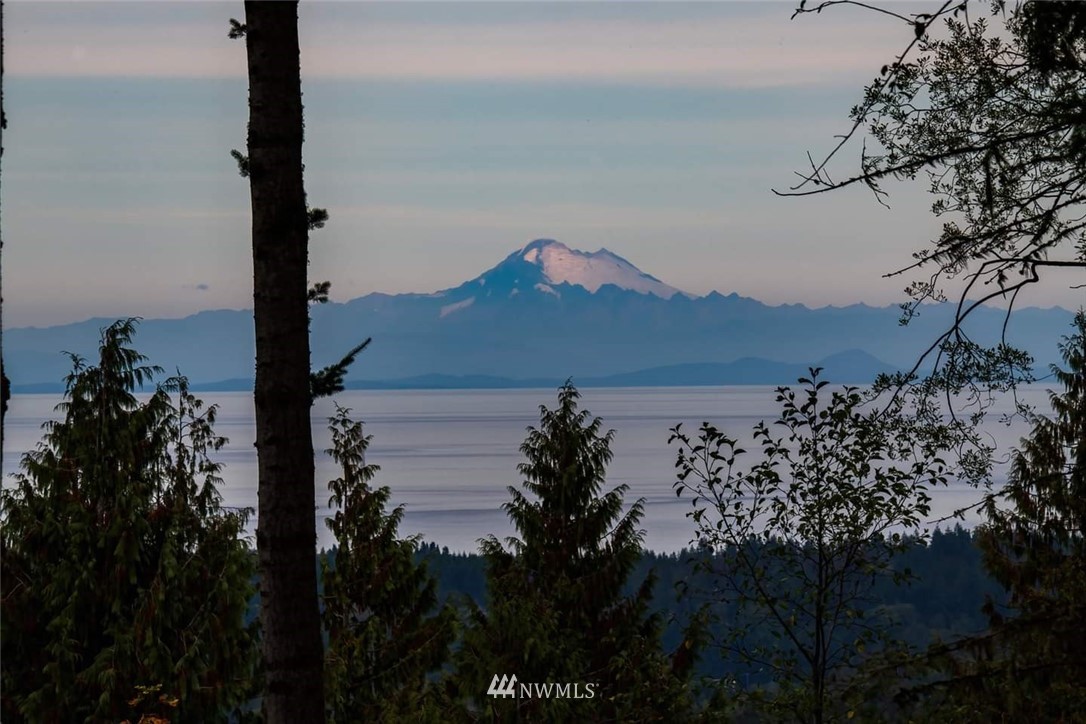 294 Cougar Ridge Road Port Angeles, WA 98363 - Photo 32 of 40 Gallery Image 32