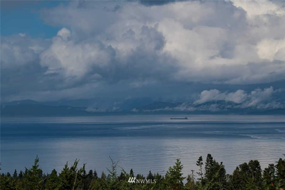 294 Cougar Ridge Road Port Angeles, WA 98363 - Photo 34 of 40 Gallery Image 34