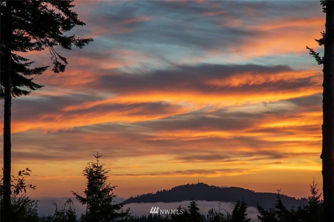 294 Cougar Ridge Road Port Angeles, WA 98363 - Photo 35 of 40 Gallery Image 35