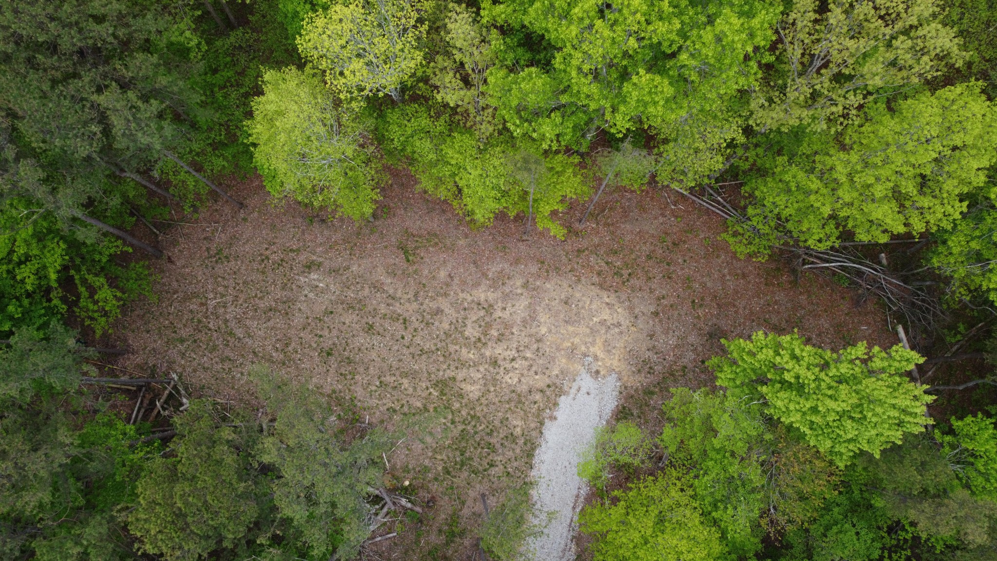 0 Co Road Bridgeport, AL 35740 - Photo 7 of 27 Gallery Image 7