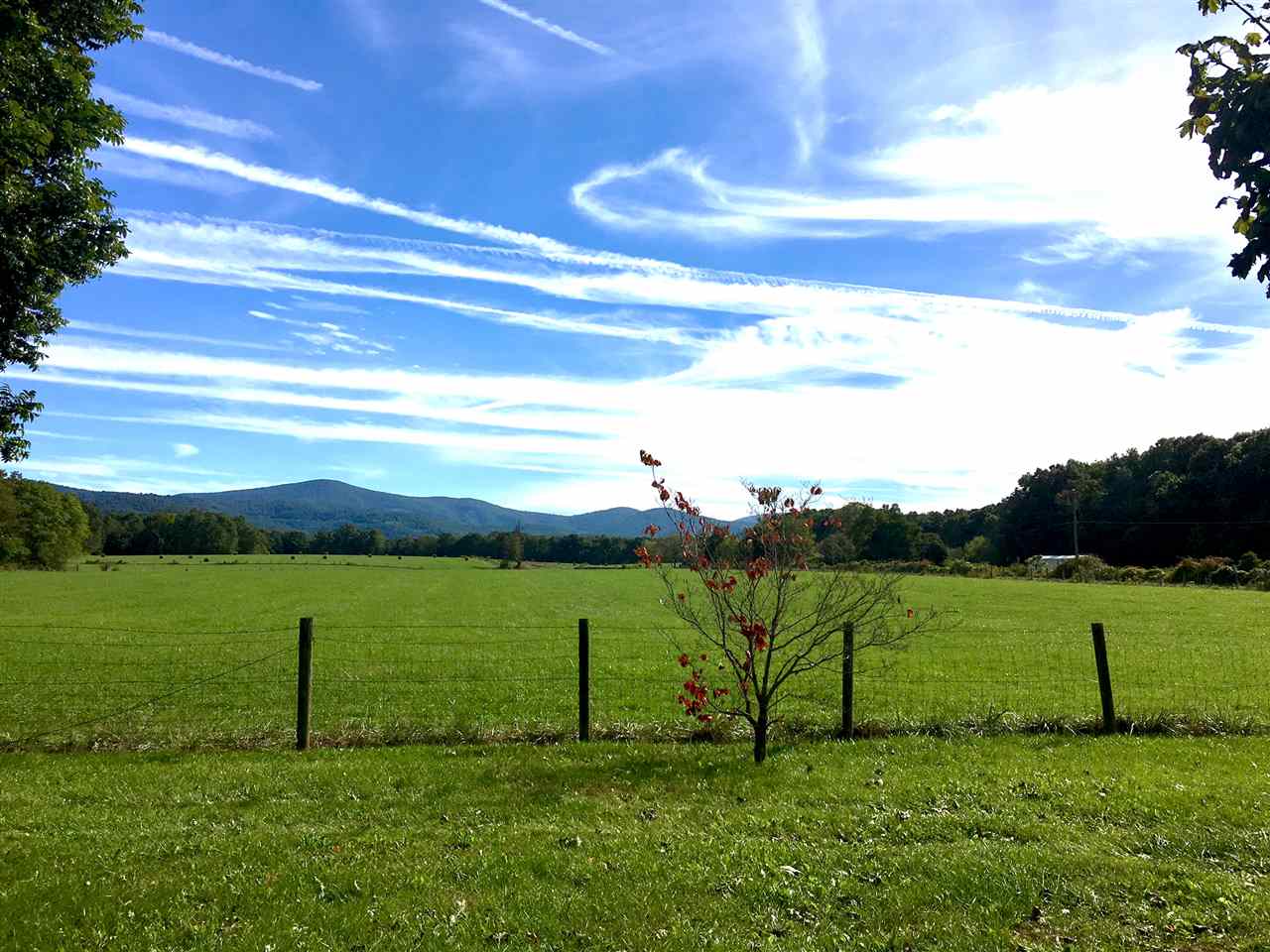 2326 Newtown Road Elkton, VA 22827 - Photo 20 of 26 Gallery Image 20