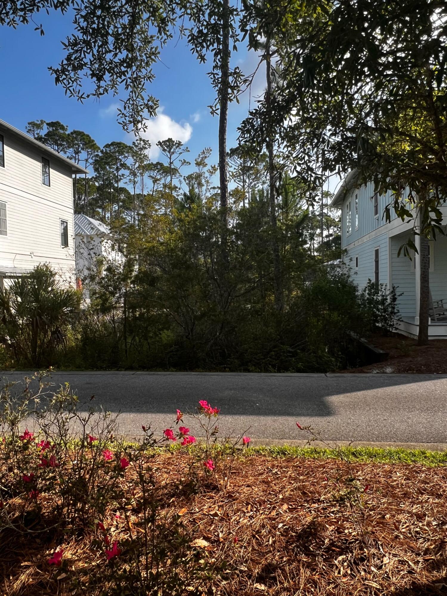 Lot 77 Redbud Ln Inlet Beach Inlet Beach, FL 32461 - Photo 4 of 10 a view of a garden with flowers