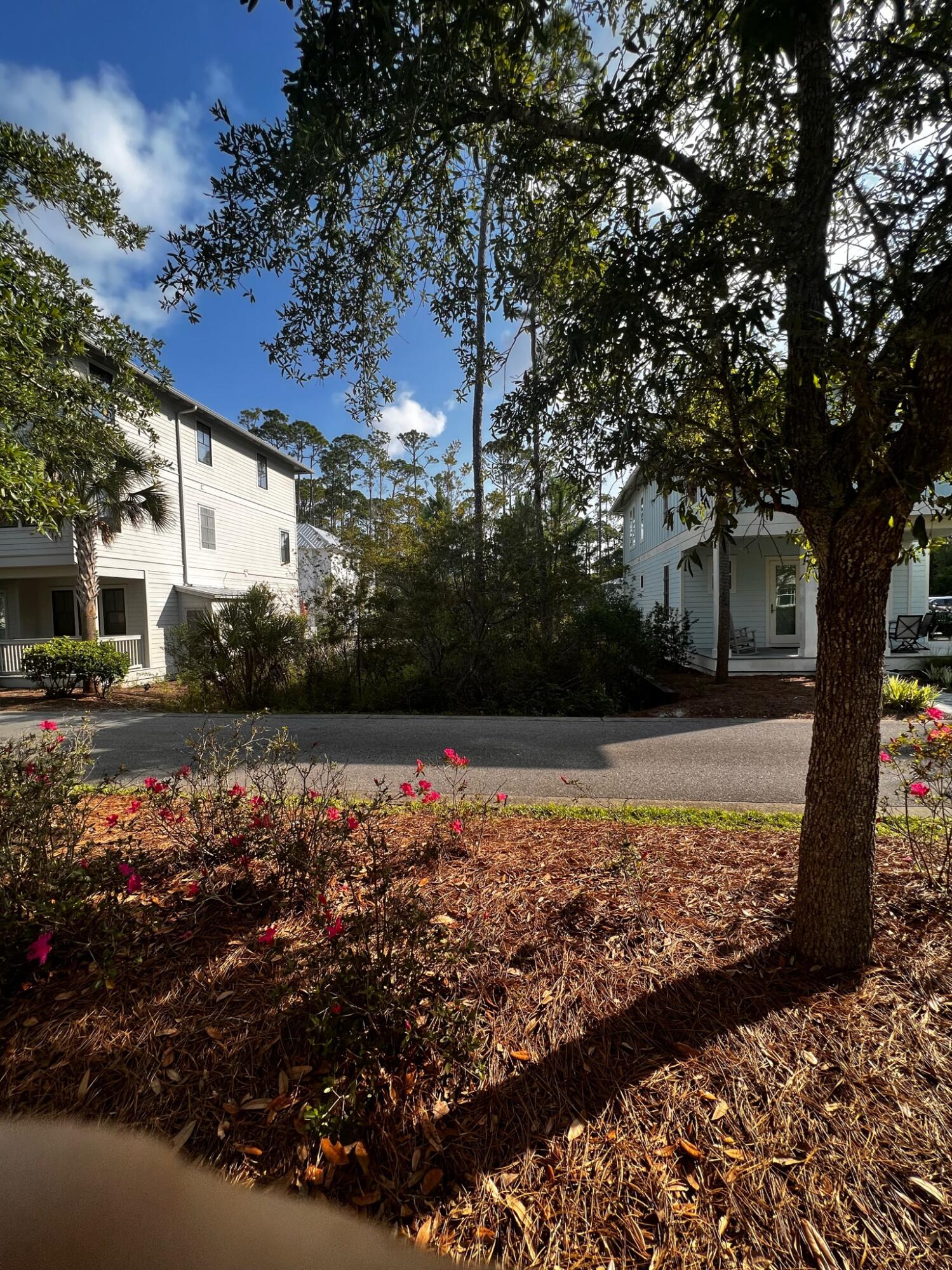 Lot 77 Redbud Ln Inlet Beach Inlet Beach, FL 32461 - Photo 5 of 10 a view of a yard with potted plants