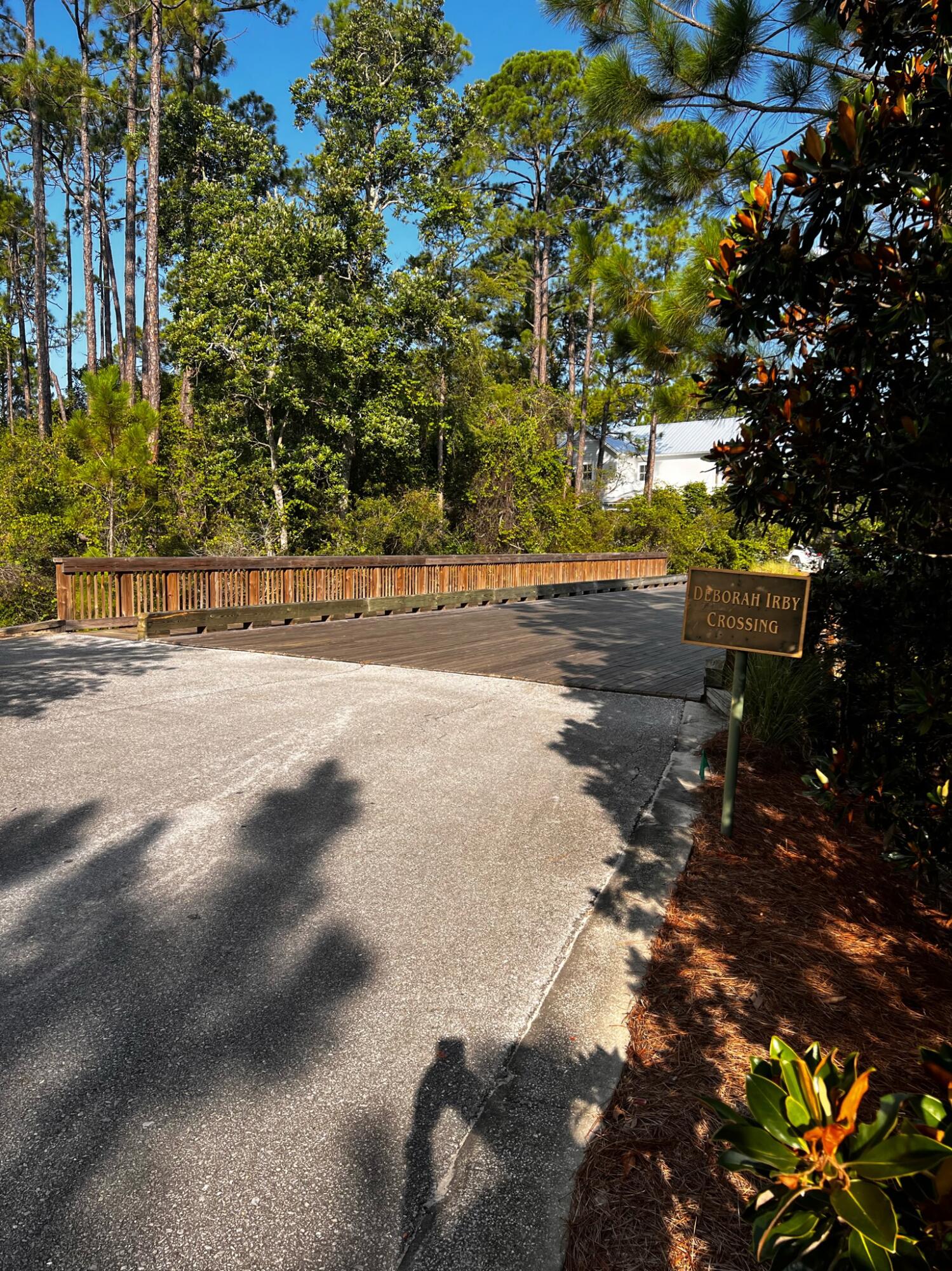 Lot 77 Redbud Ln Inlet Beach Inlet Beach, FL 32461 - Photo 7 of 10 a view of a yard with plants and trees