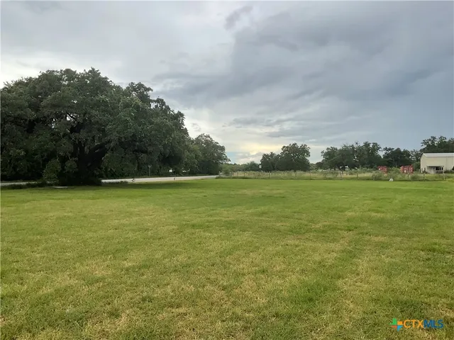 a view of a field with an trees