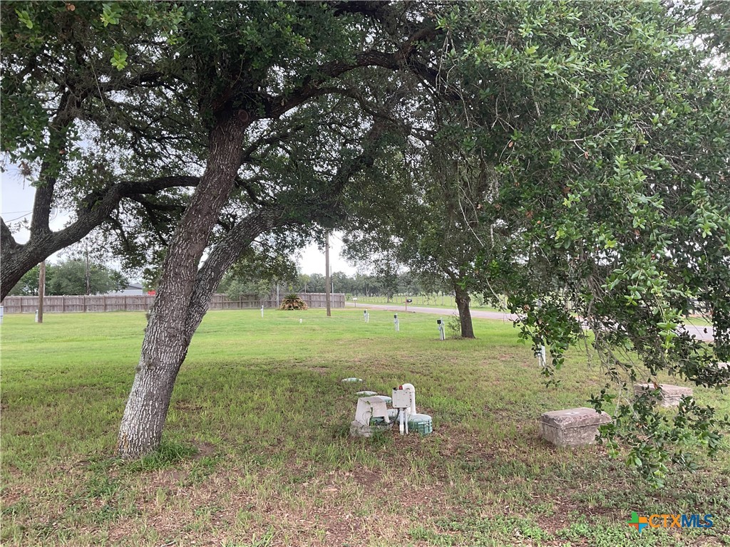 46 County Road 400 Yoakum, TX 77995 - Photo 12 of 23 a view of a field with a tree