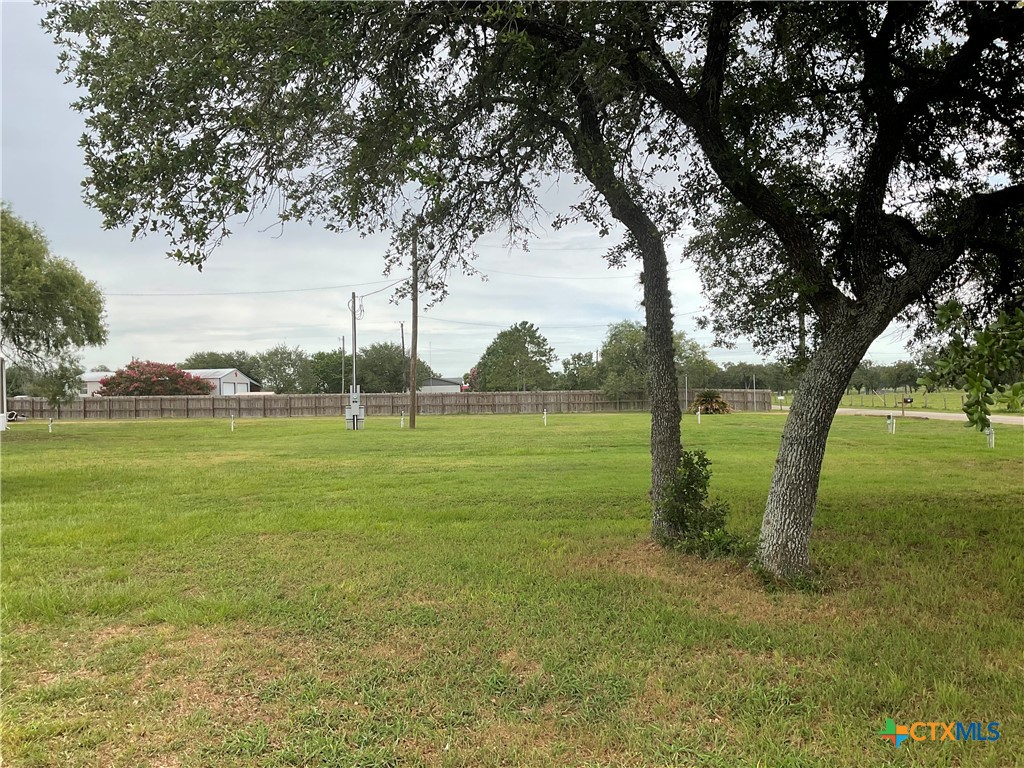 46 County Road 400 Yoakum, TX 77995 - Photo 13 of 23 a view of a field with a tree