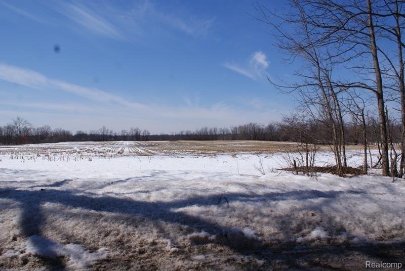 2 Harsen Road Lapeer, MI 48446 - Photo 3 of 4 DSC04314.jpg