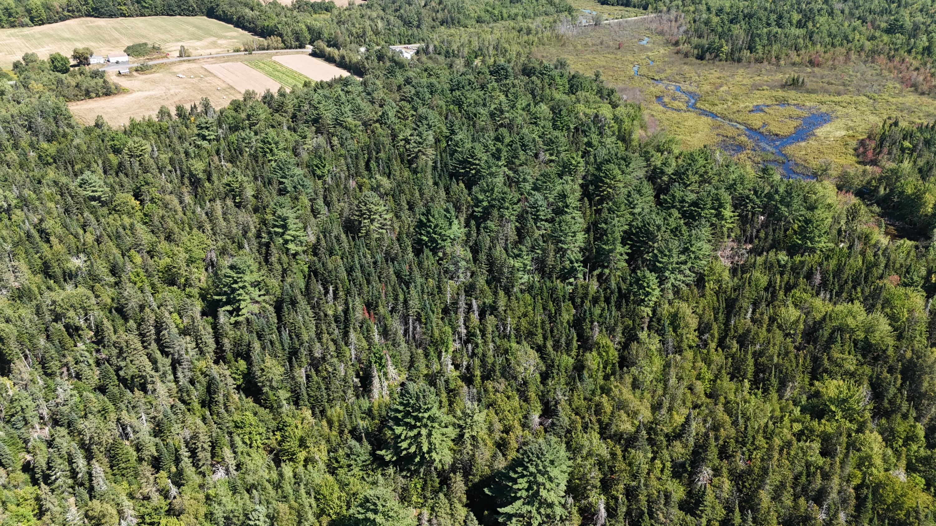 0 Cottrell Road Dixmont, ME 04932 - Photo 3 of 12 DJI_20250821231603_0188_D