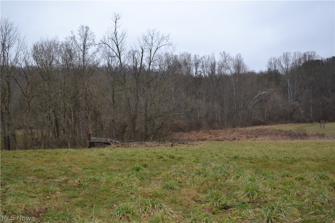 2775 Buckner Bend Walker, WV 26180 - Photo 1 of 7